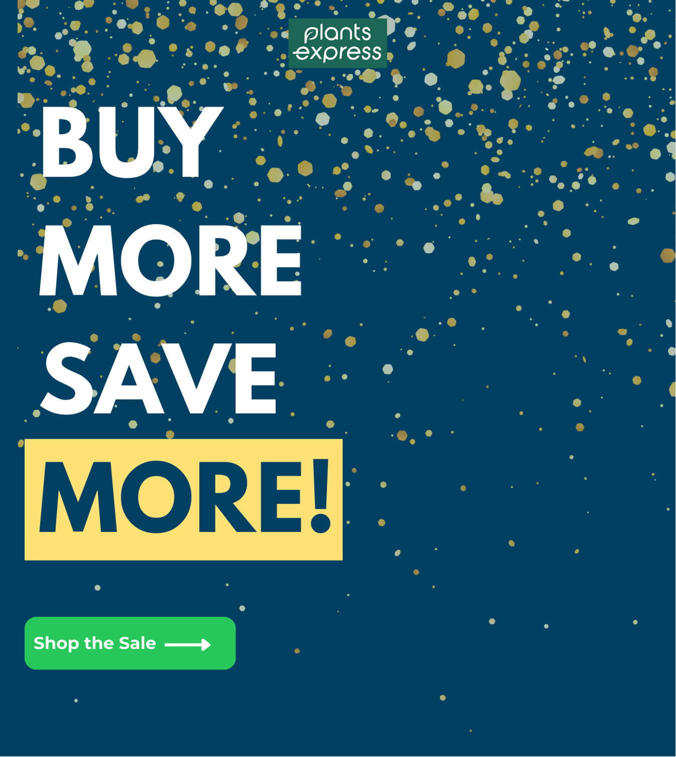 Plants Express Black Friday sale