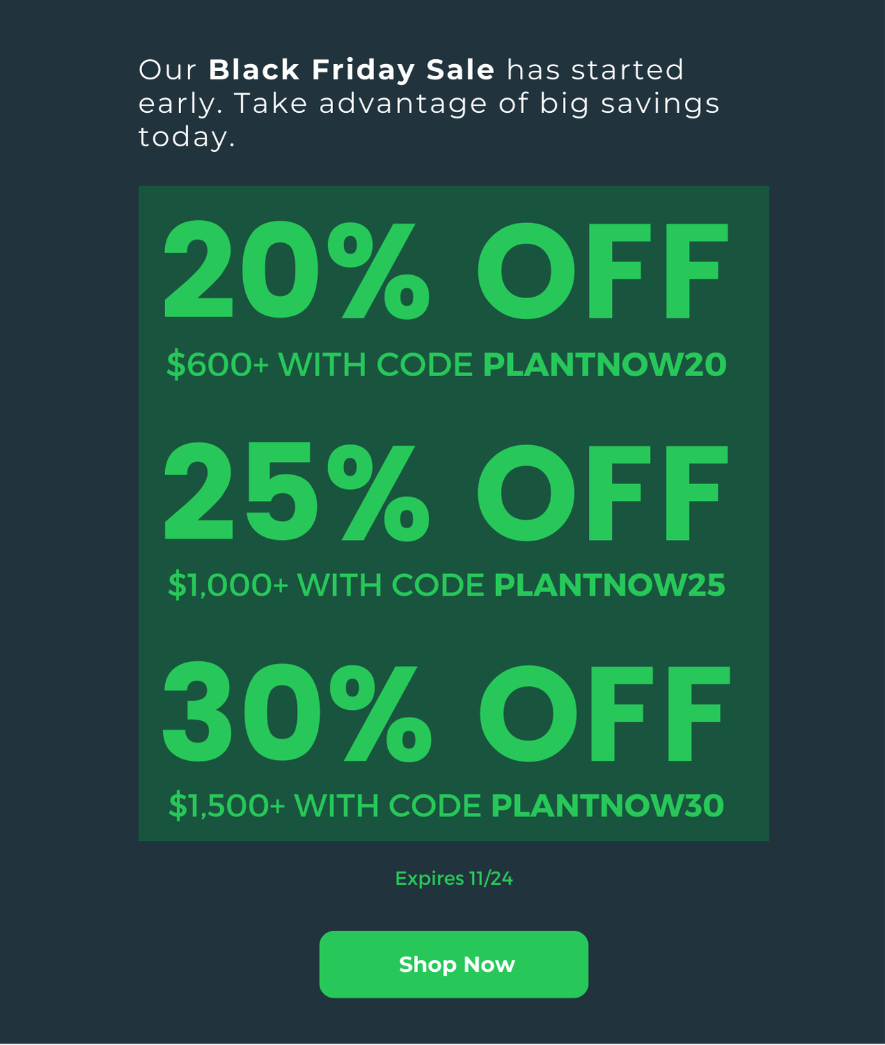 Plants Express Black Friday sale