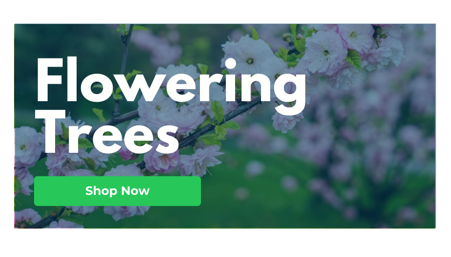 flowering trees 