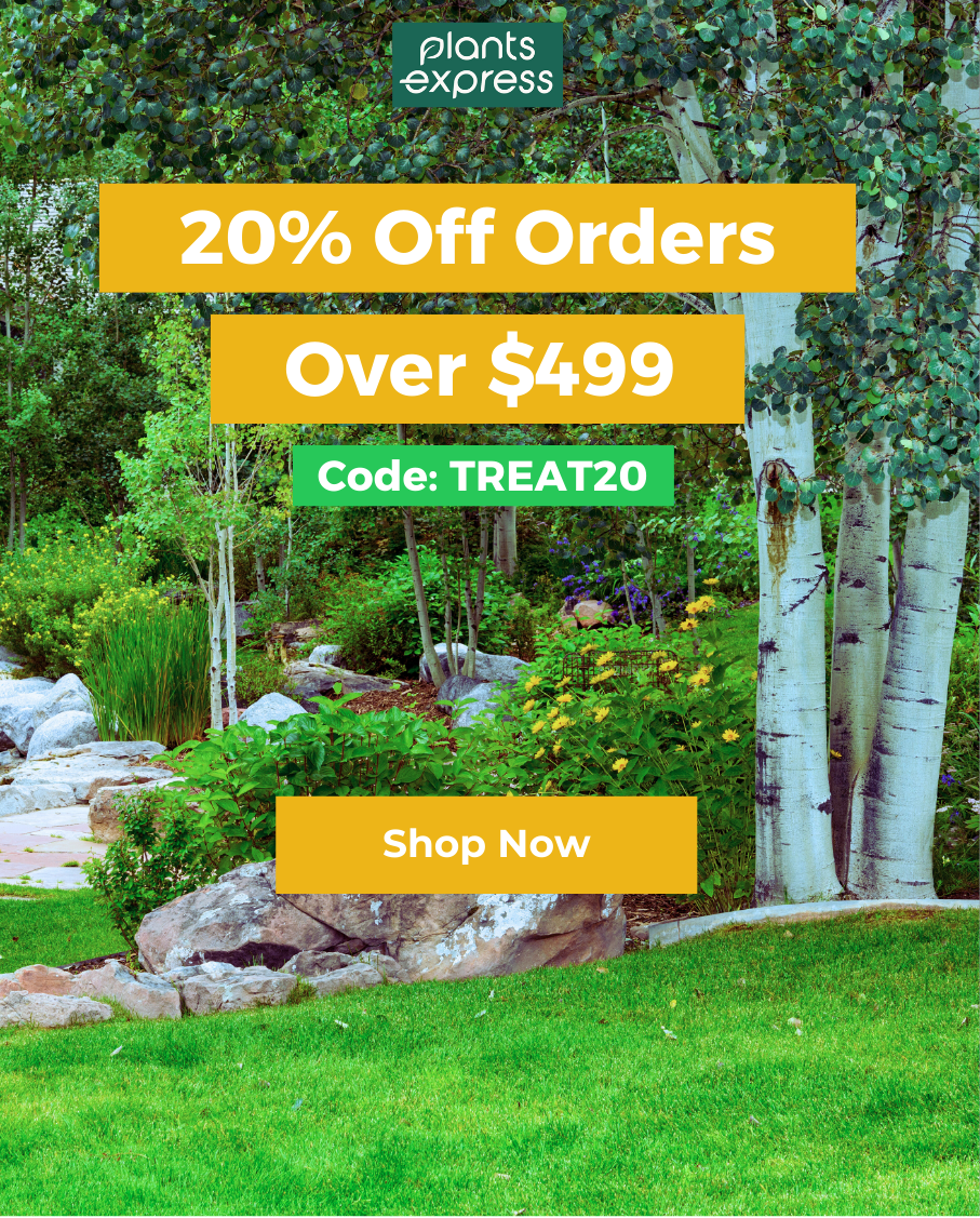 Plants Express 