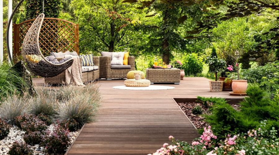 Image of a California backyard