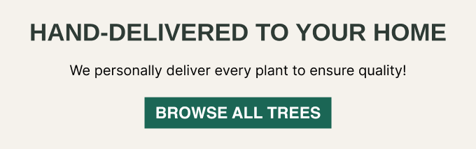 HAND-DELIVERED TO YOUR HOME