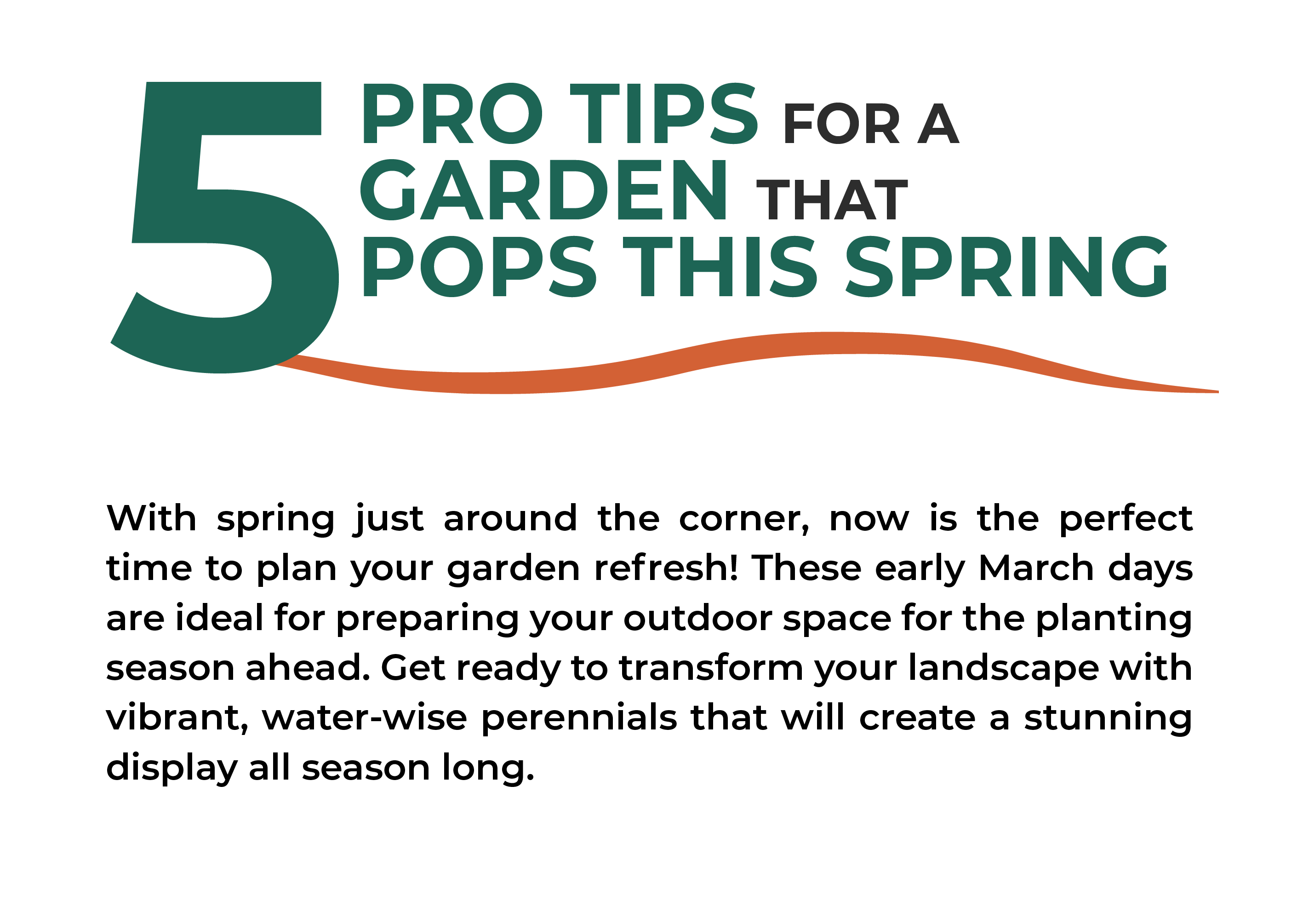 With spring just around the corner, now is the perfect time to plan your garden refresh! These early March days are ideal for preparing your outdoor space for the planting season ahead. Get ready to transform your landscape with vibrant, water-wise perennials that will create a stunning display all season long.