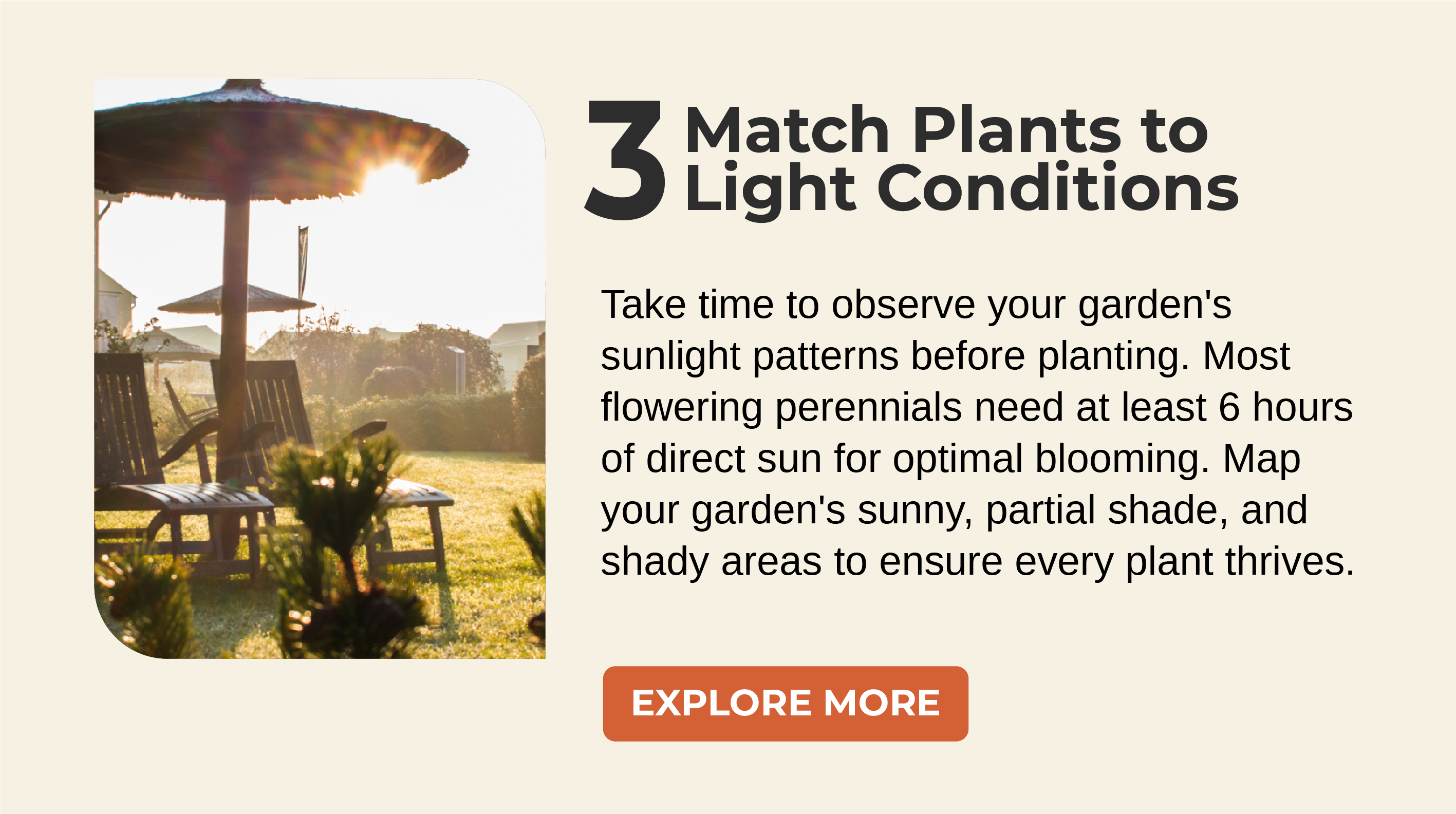  Take time to observe your garden's sunlight patterns before planting. Most flowering perennials need at least 6 hours of direct sun for optimal blooming. Map your garden's sunny, partial shade, and shady areas to ensure every plant thrives.