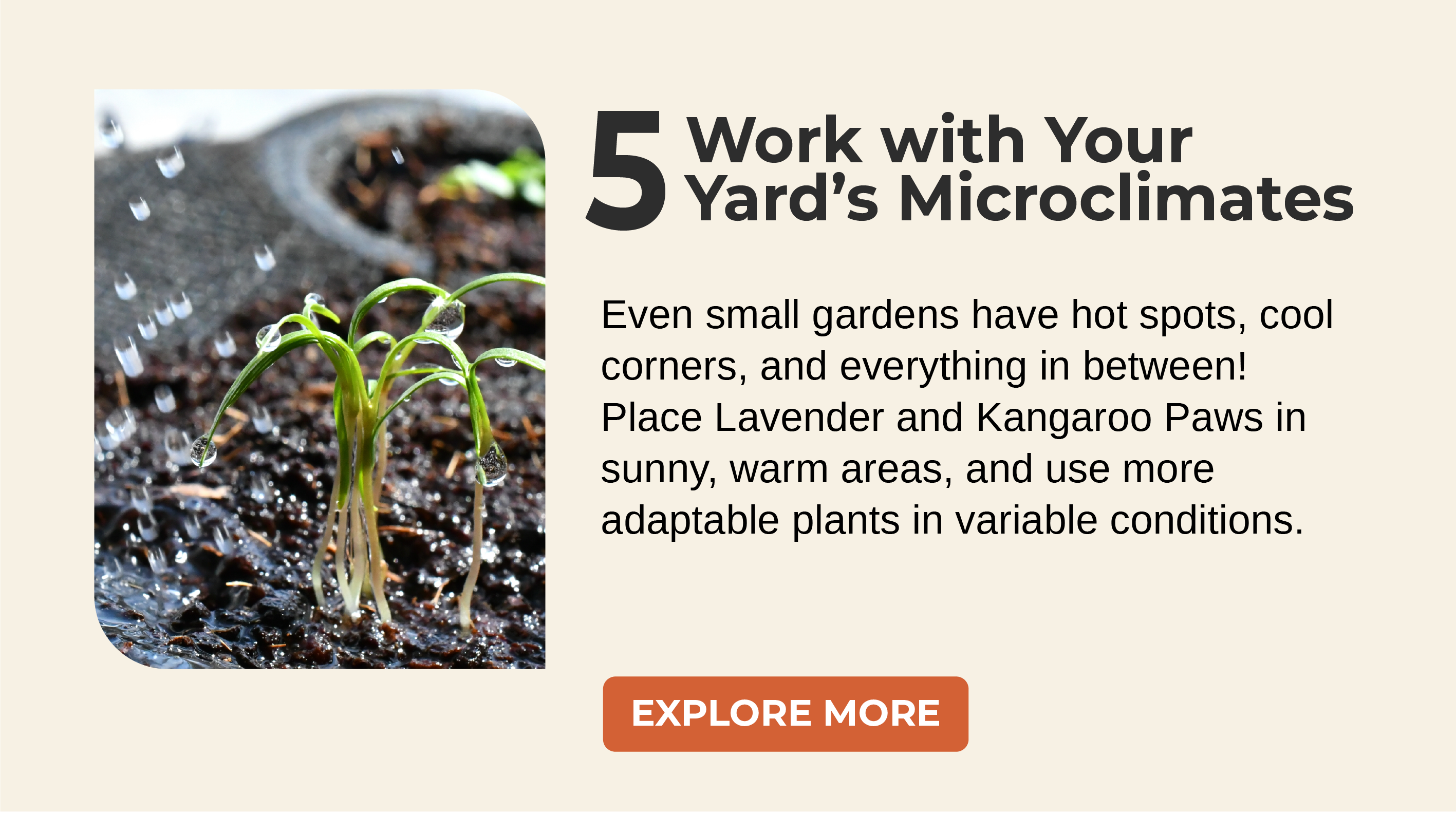 Even small gardens have hot spots, cool corners, and everything in between! Place Lavender and Kangaroo Paws in sunny, warm areas, and use more adaptable plants in variable conditions.