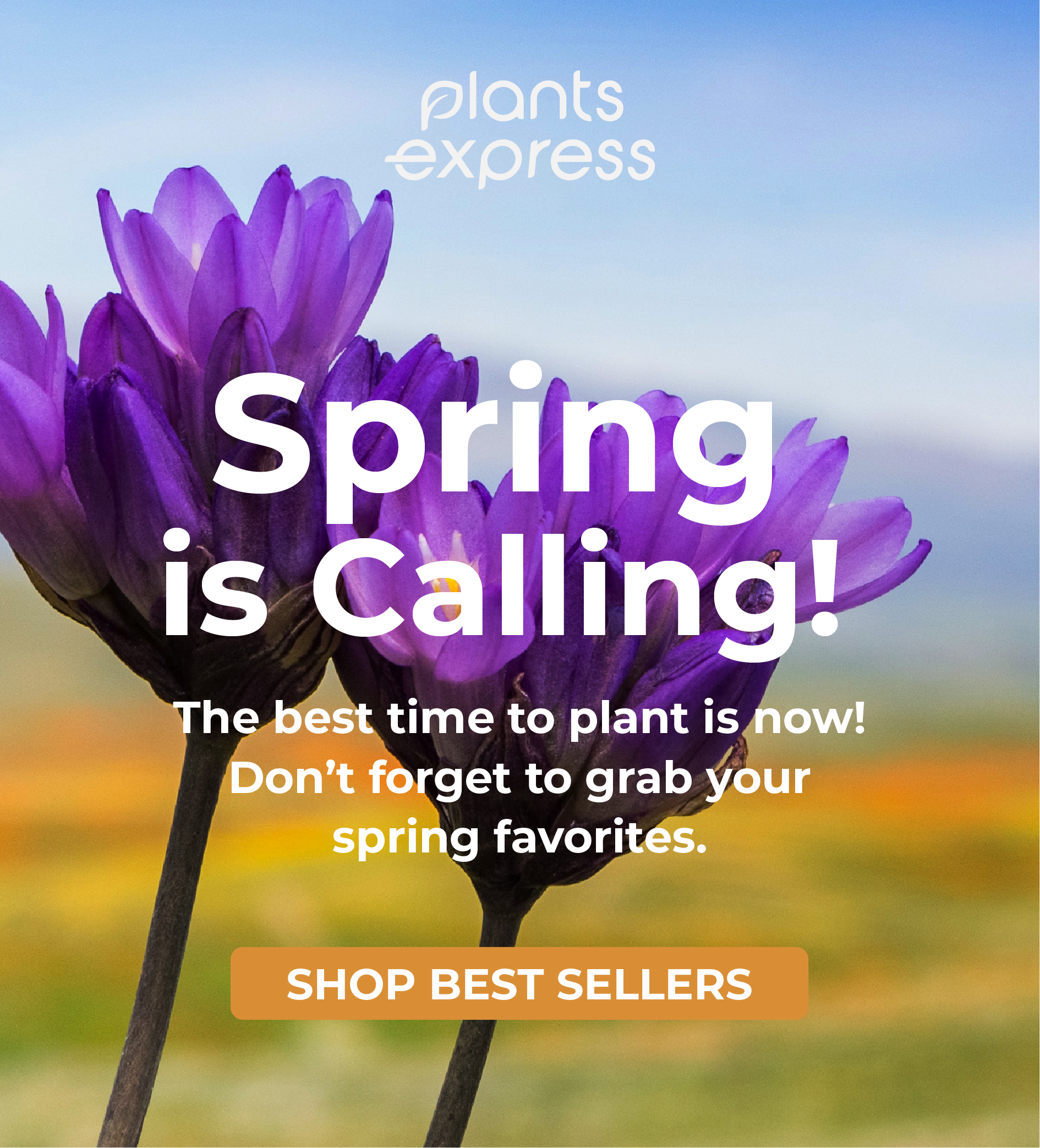 plants express Spring is Calling! The best time to plant is now! Don't forget to grab your spring favorites. SHOP BEST SELLERS