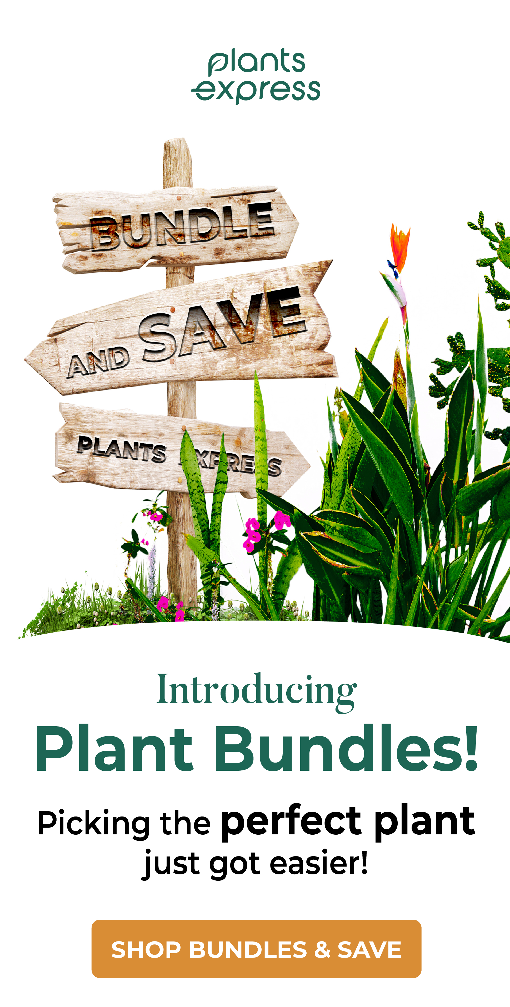 plants express BUNDLE AND SAVE PLANTS KERES