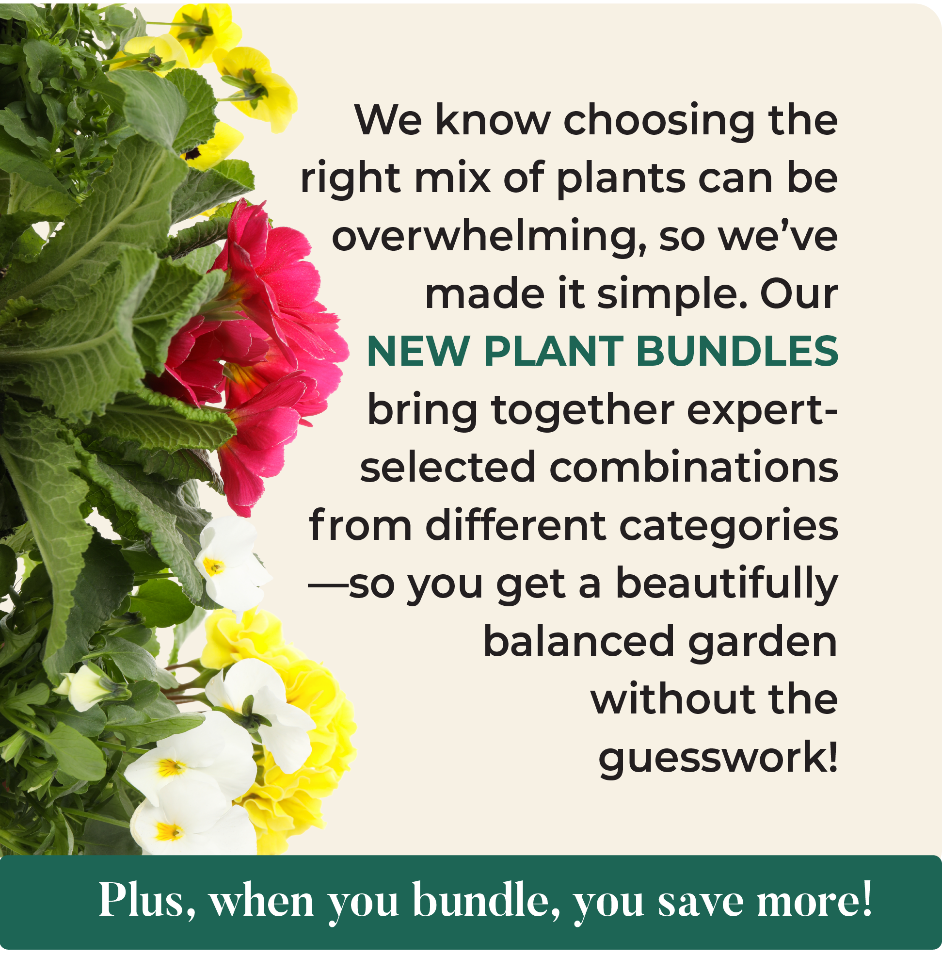 We know choosing the right mix of plants can be overwhelming, so we've made it simple. Our NEW PLANT BUNDLES bring together expert- selected combinations from different categories ―so you get a beautifully balanced garden without the guesswork! Plus, when you bundle, you save more!
