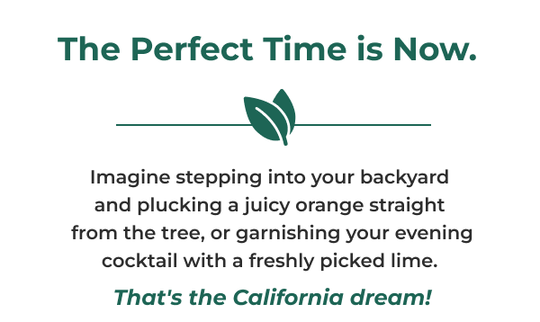 The Perfect Time is Now. Imagine stepping into your backyard and plucking a juicy orange straight from the tree, or garnishing your evening cocktail with a freshly picked lime. That's the California dream!