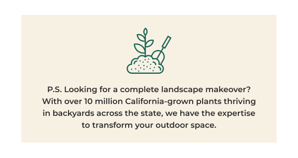 P.S. Looking for a complete landscape makeover? With over 10 million California-grown plants thriving in backyards across the state, we have the expertise to transform your outdoor space.