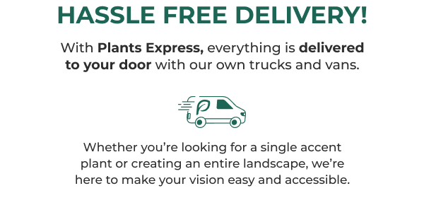 HASSLE FREE DELIVERY! With Plants Express, everything is delivered to your door with our own trucks and vans. P Whether you're looking for a single accent plant or creating an entire landscape, we're here to make your vision easy and accessible.