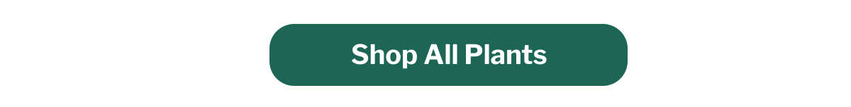 shop all plants