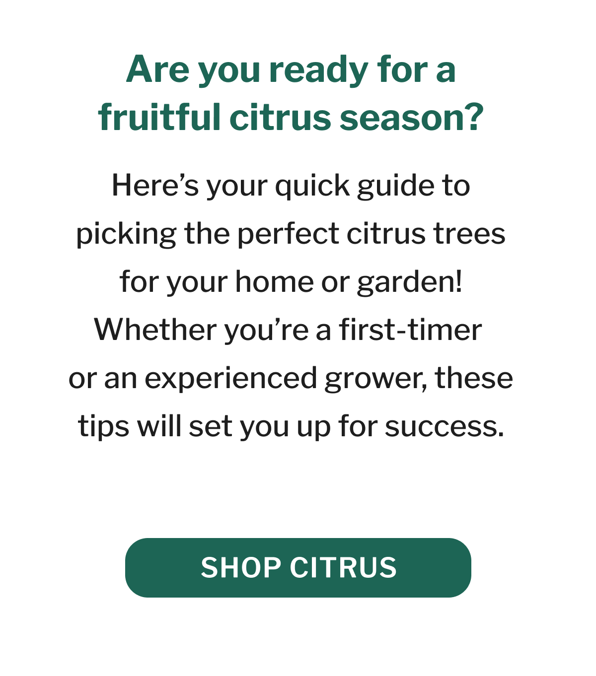 Are you ready for a fruitful citrus season in Zones 8 & 9?