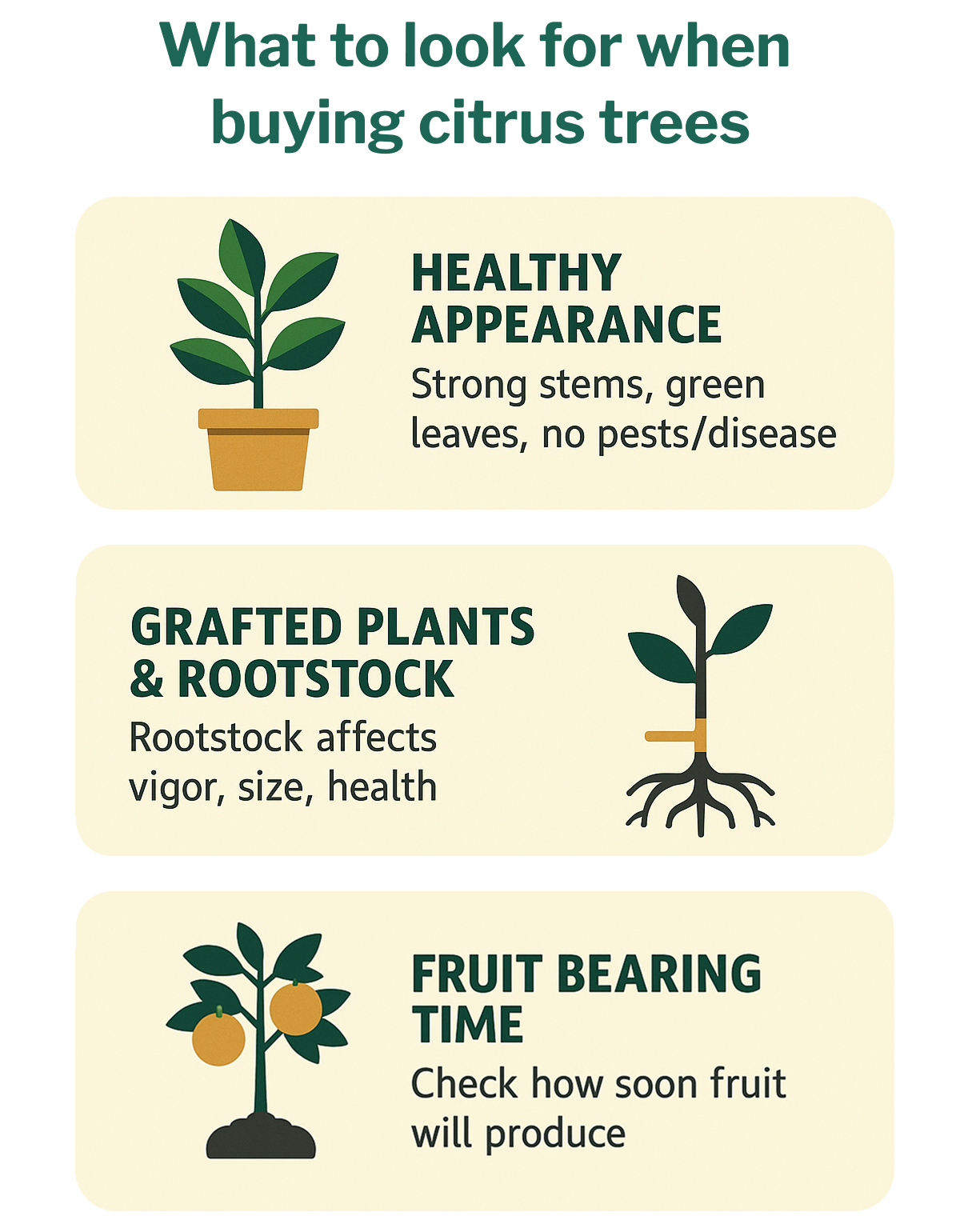 What to look for when buying citrus plants in zone 8 & 9