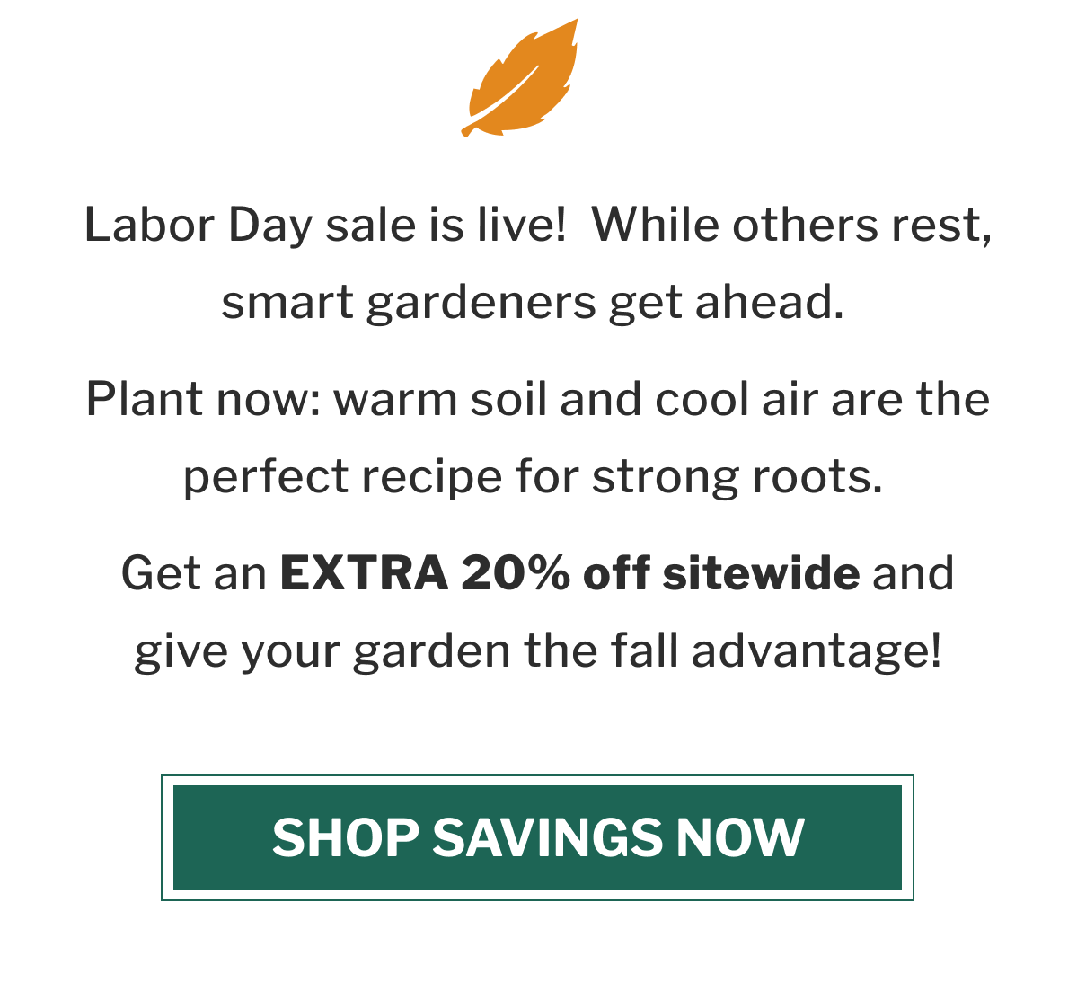 Plant now with warm soil and cool air, the perfect recipe for strong roots.