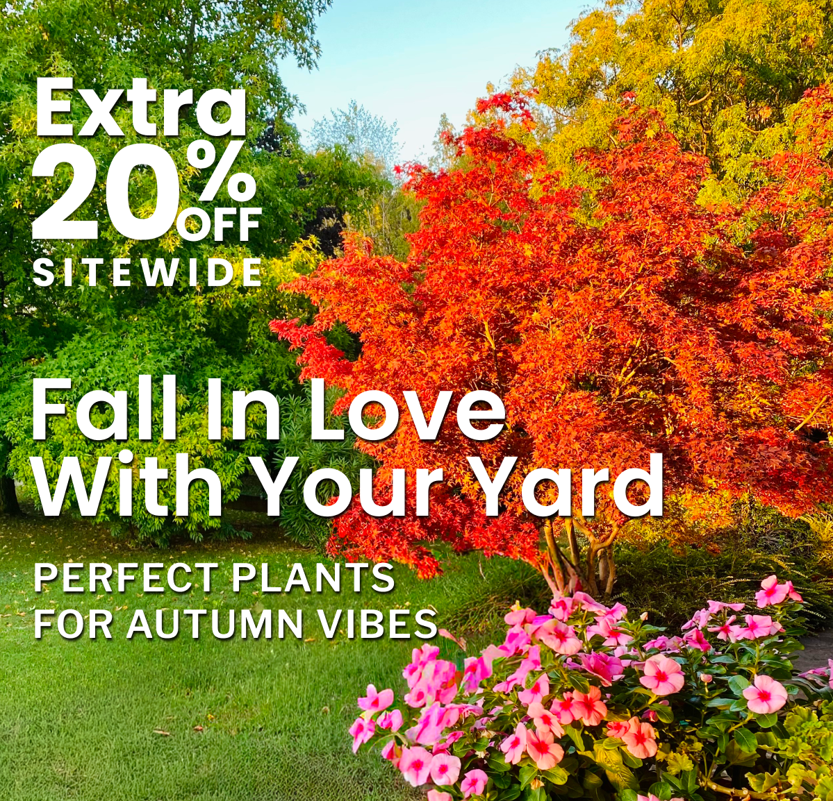Your dream yard just went on sale