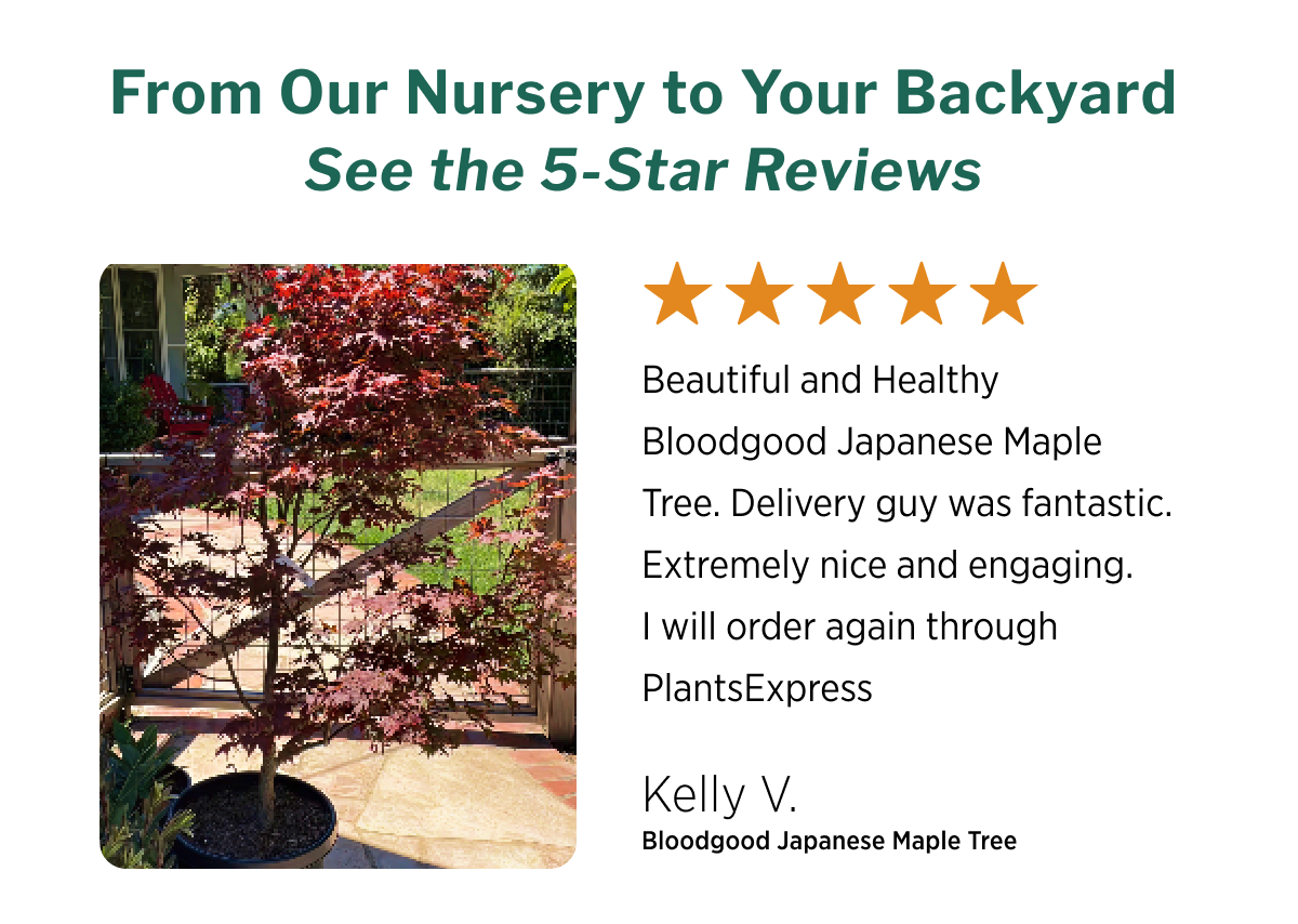 From Our Nursery to Your Backyard See the 5-Star Reviews
