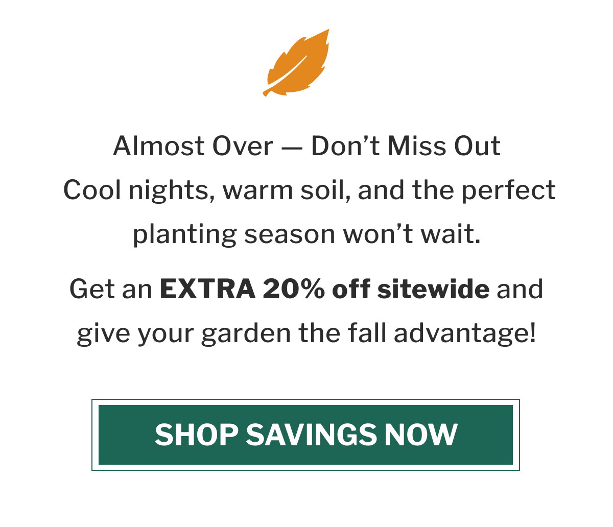 Plant now with warm soil and cool air, the perfect recipe for strong roots.