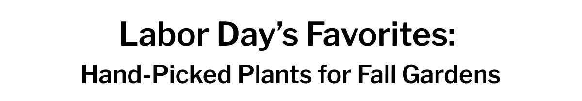 Plant now with warm soil and cool air, the perfect recipe for strong roots.