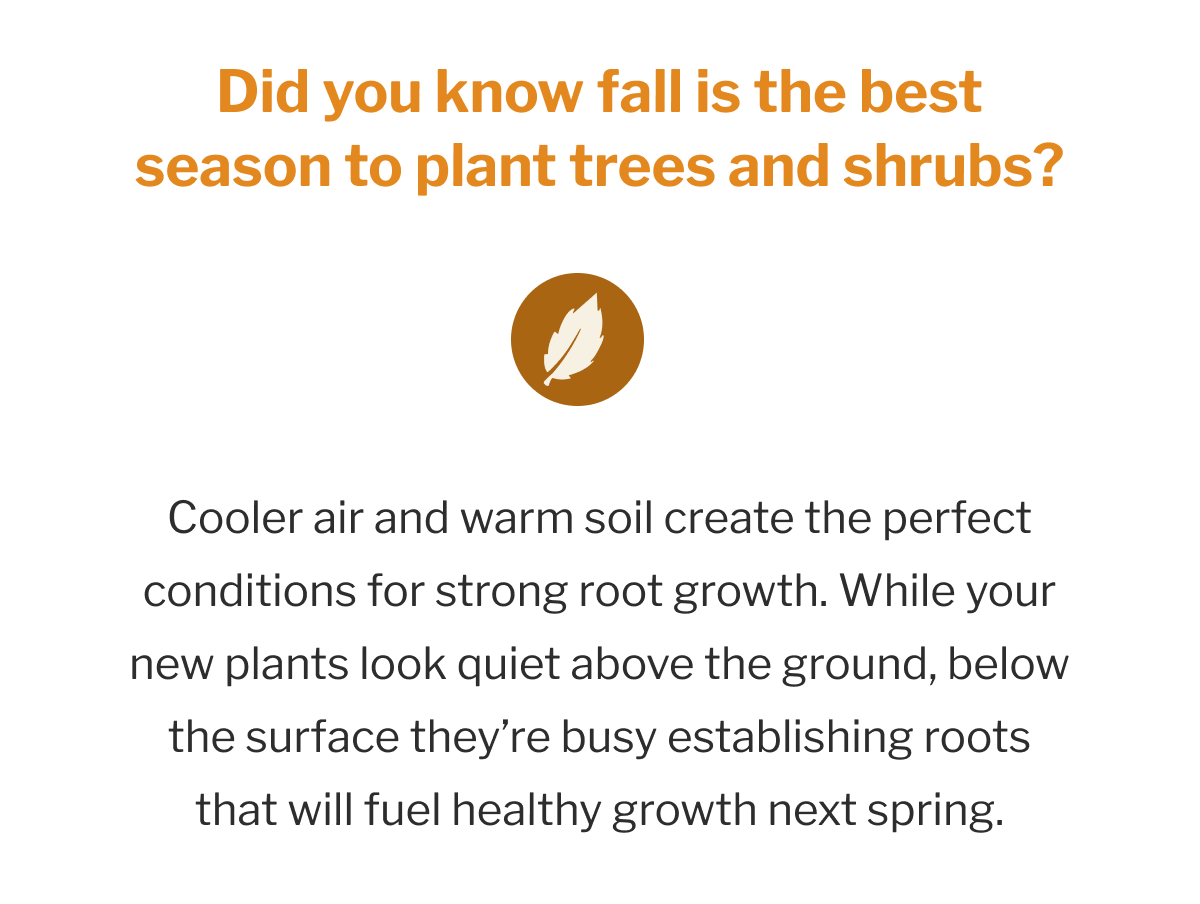 Plant now with warm soil and cool air, the perfect recipe for strong roots.