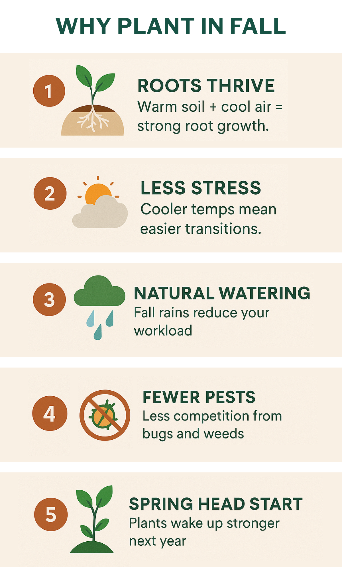 WHY PLANT IN FALL