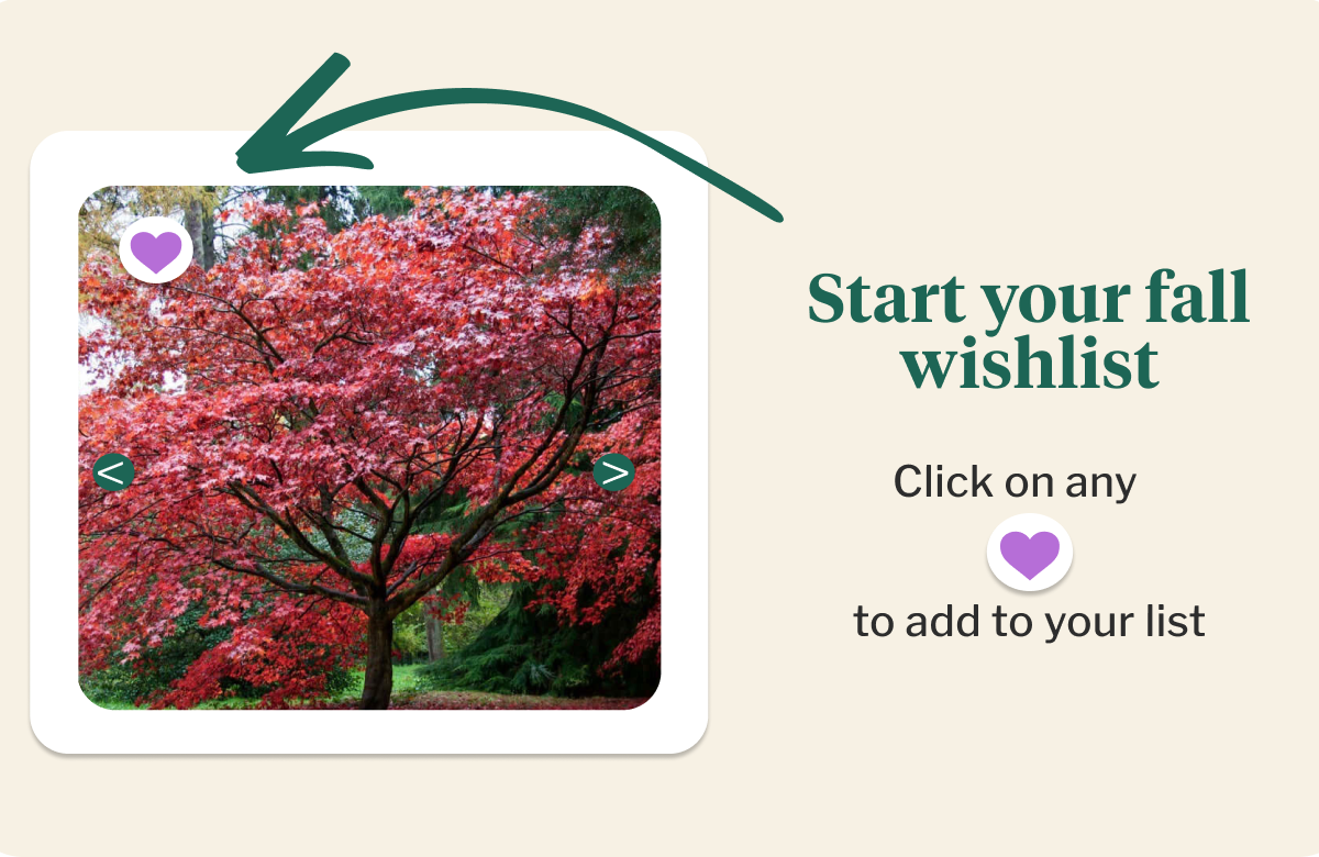 Start your fall wishlist  Click on any  to add to your list