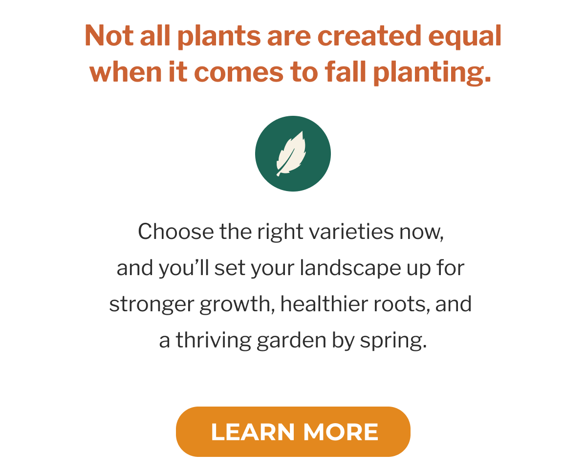 Not all plants are created equal when it comes to fall planting.