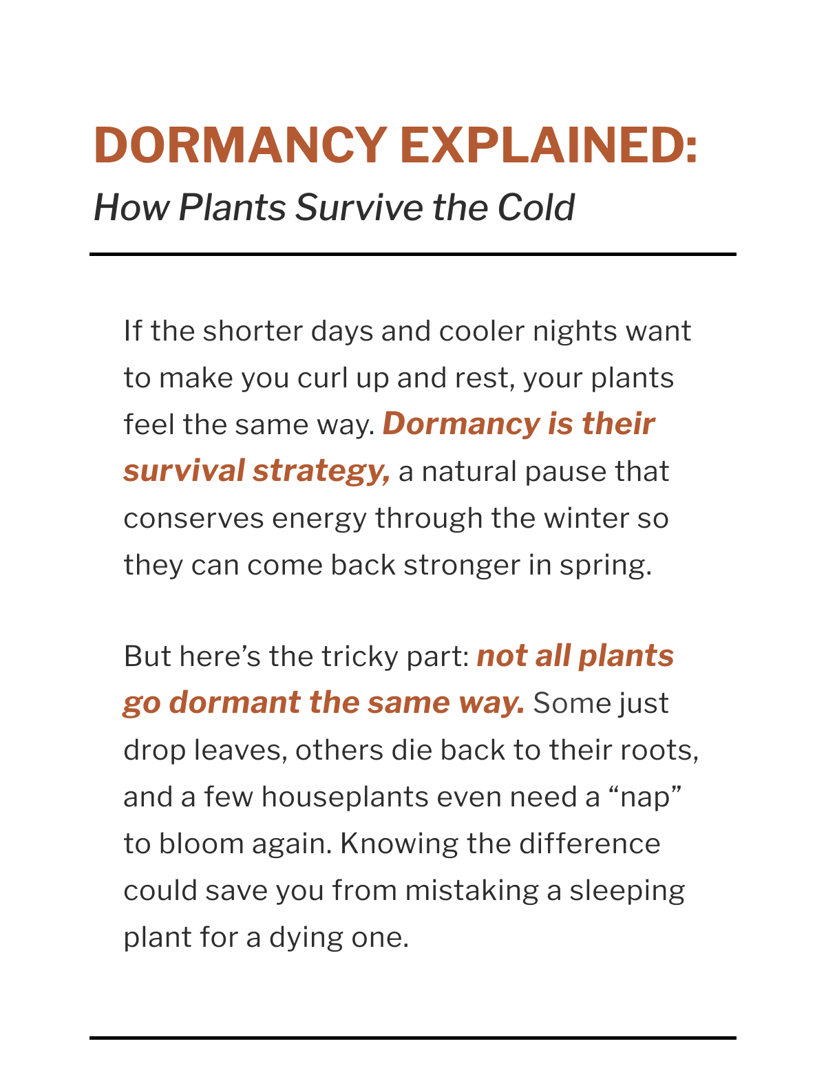 DORMANCY EXPLAINED: How Plants Survive the Cold