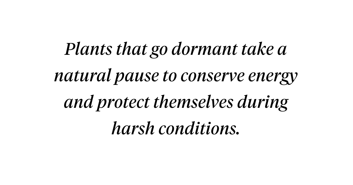 Plants that go dormant take a natural pause to conserve energy and protect themselves during harsh conditions.