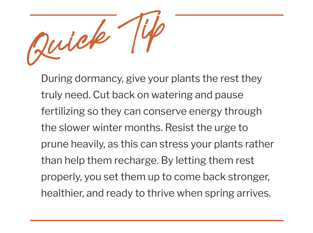 Quick Tip