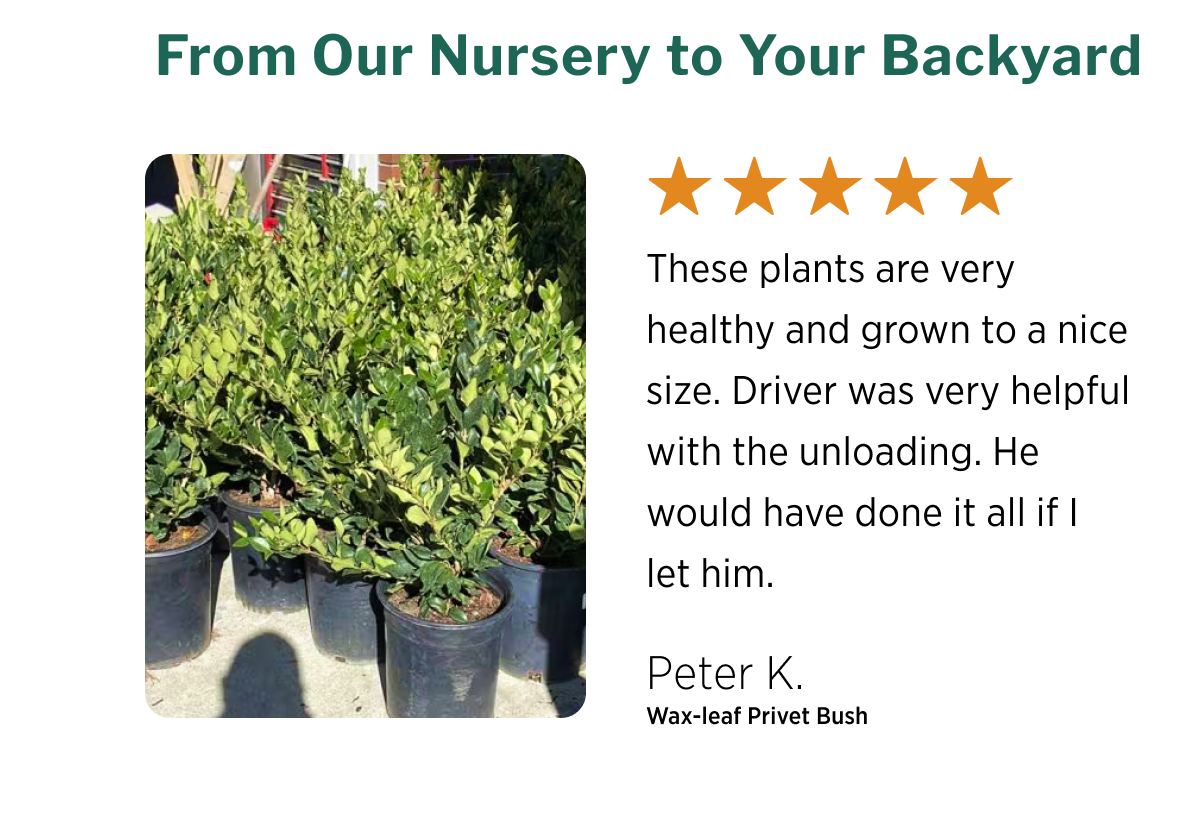 Buy More, Save More on Fall's Top Picks GIVE YOUR GARDEN THE AUTUMN ADVANTAGE WITH PLANTS SELECTED TO THRIVE IN CALIFORNIA'S FALL SEASON.