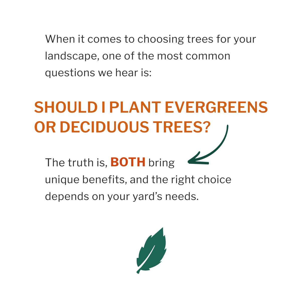 SHOULD I PLANT EVERGREENS OR DECIDUOUS TREES?