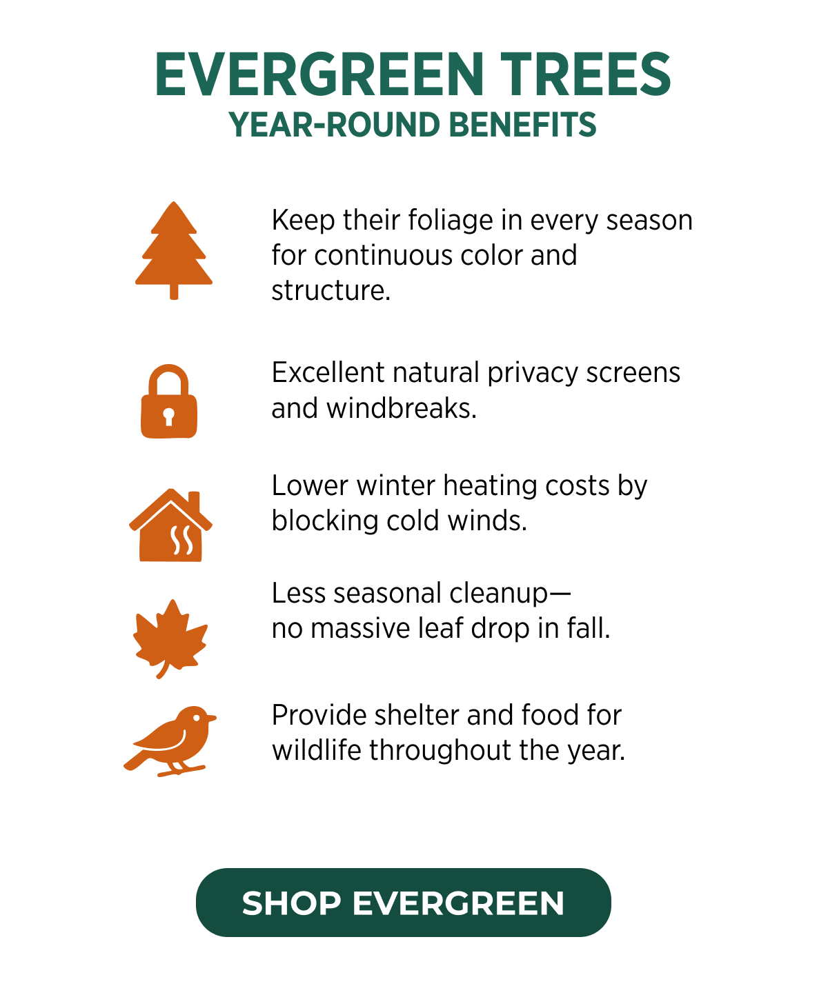 EVERGREEN TREES YEAR-ROUND BENEFITS