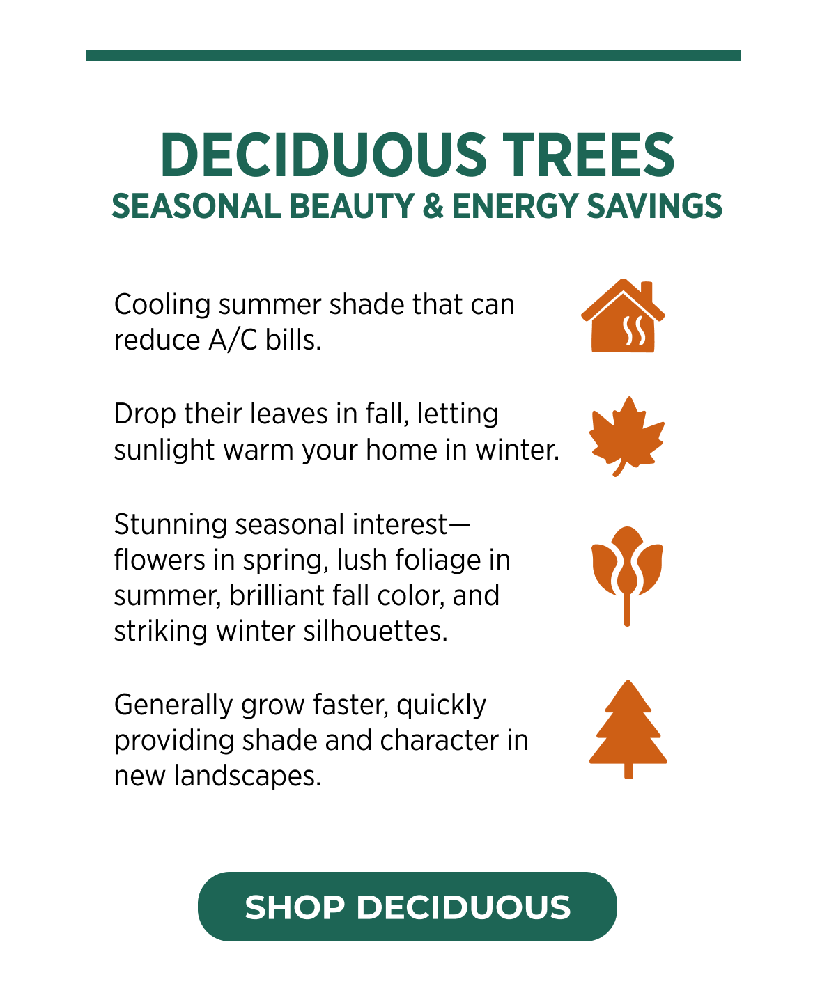 DECIDUOUS TREES SEASONAL BEAUTY & ENERGY SAVINGS