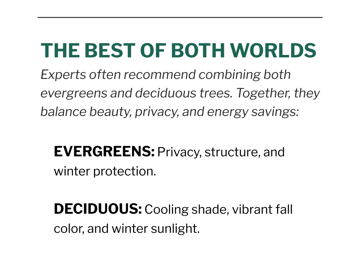 THE BEST OF BOTH WORLDS Experts often recommend combining both evergreens and deciduous trees. Together, they balance beauty, privacy, and energy savings