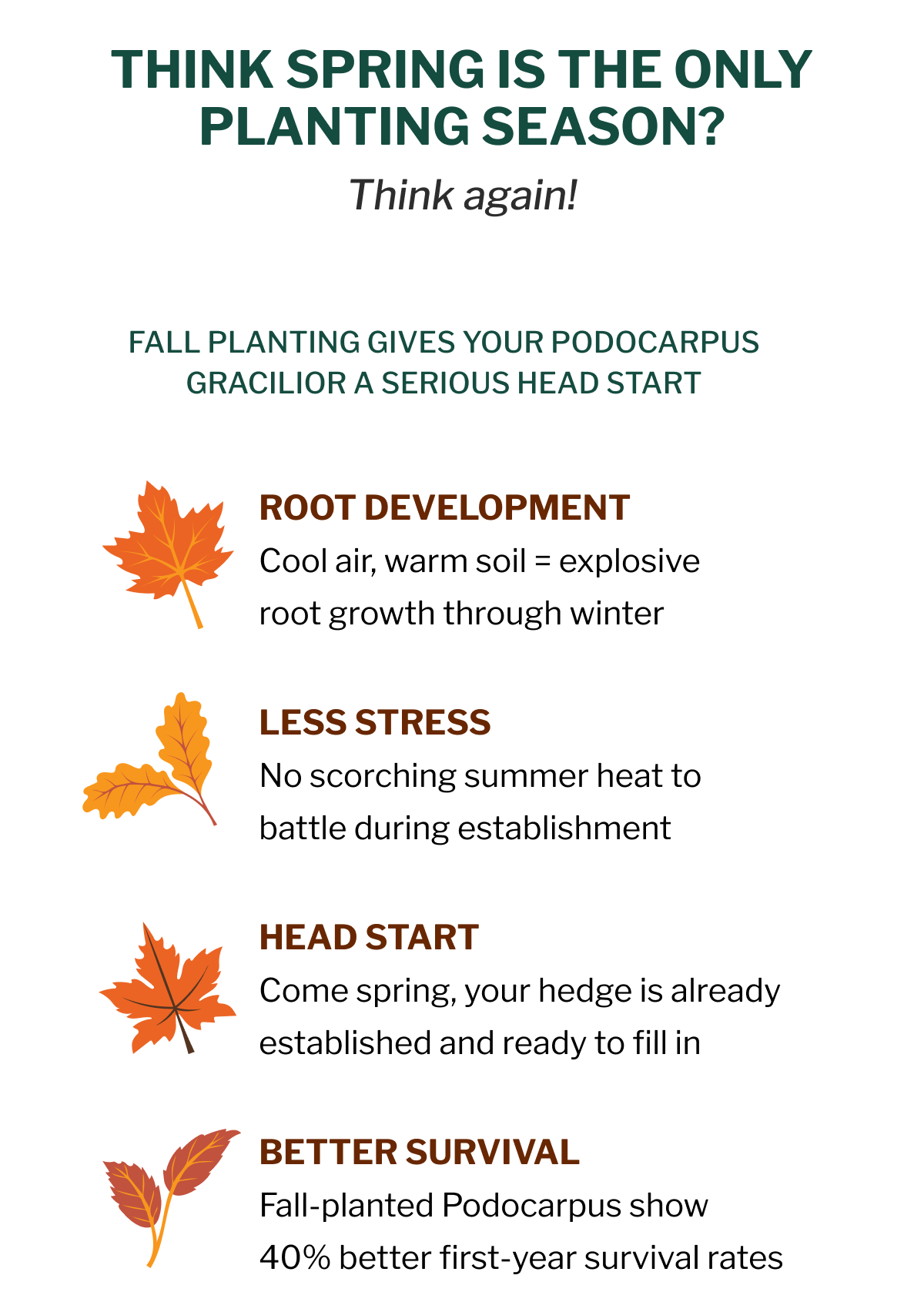THINK SPRING IS THE ONLY PLANTING SEASON?