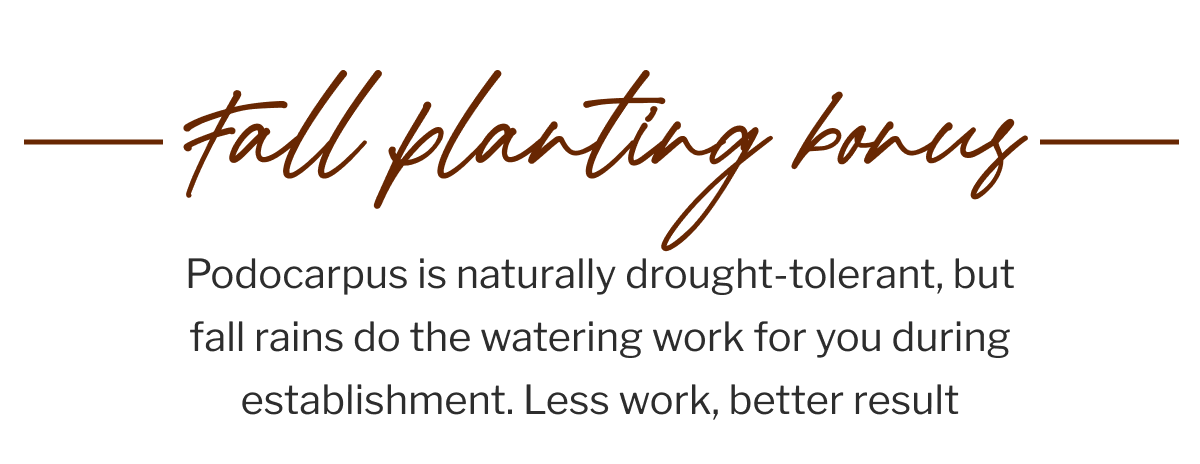 The Sweet Spot: Plant Now Through November