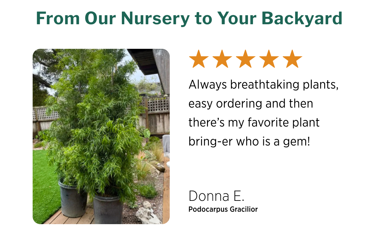 The Sweet Spot: Plant Now Through November