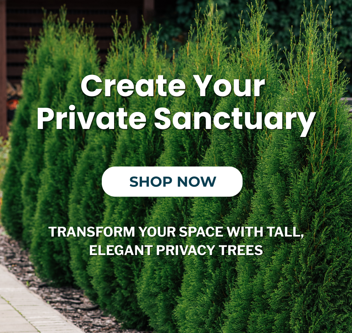 Create Your Private Sanctuary  SHOP NOW