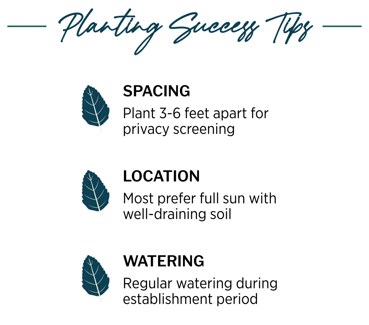 The Sweet Spot: Plant Now Through November