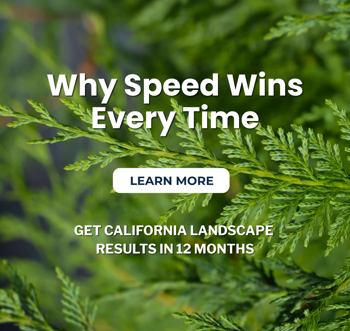 Why Speed Wins Every Time  LEARN MORE