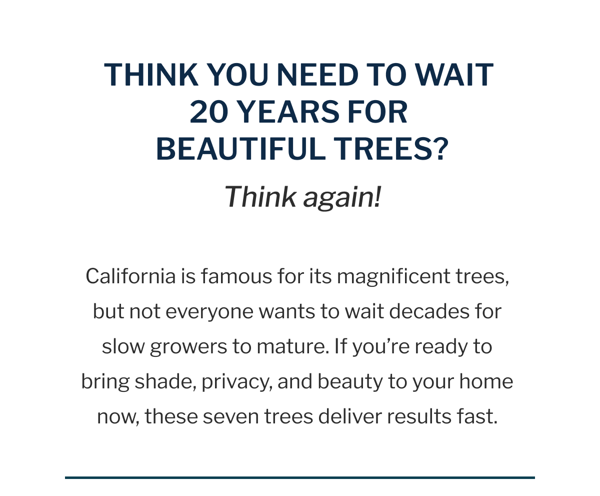 THINK YOU NEED TO WAIT 20 YEARS FOR BEAUTIFUL TREES? Think again!