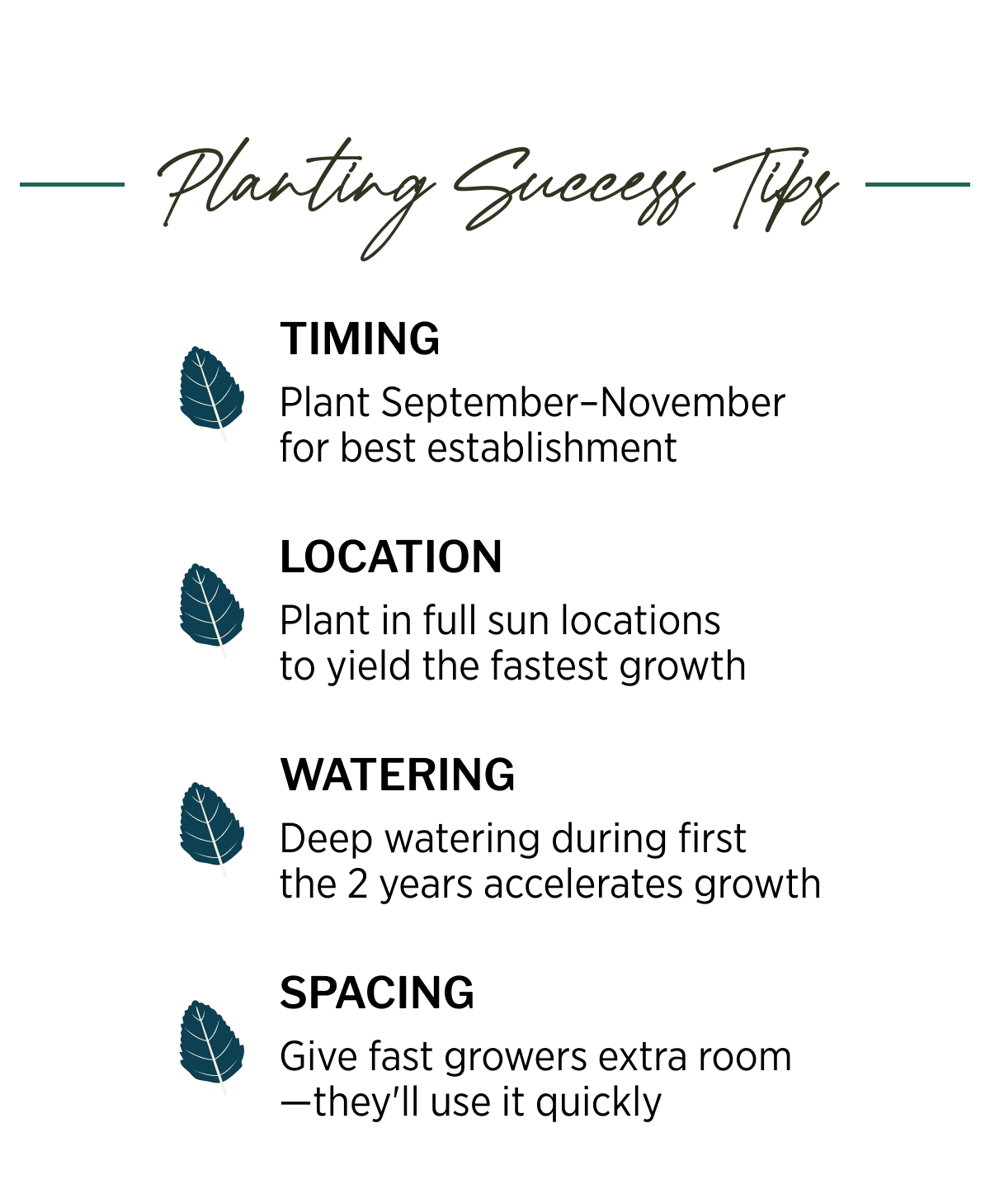 Planting Success Tips