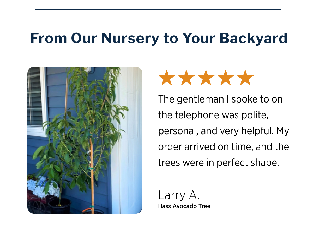 From Our Nursery to Your Backyard