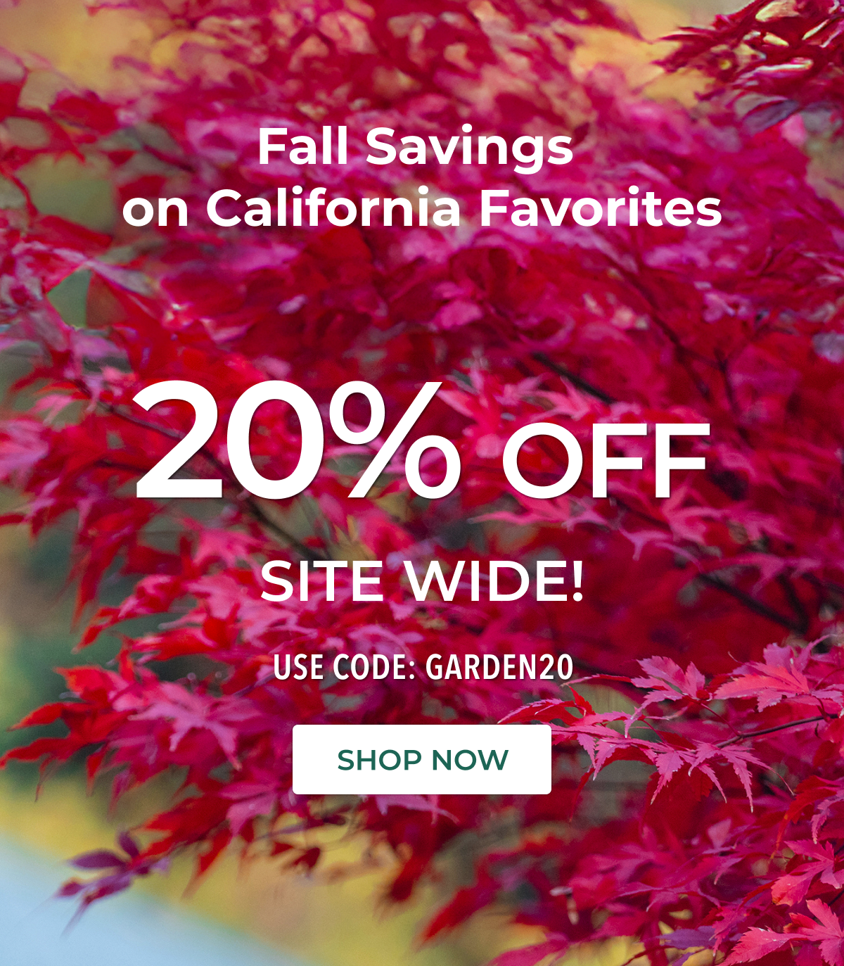 Fall planting + instant savings — use code GARDEN20 at checkout.