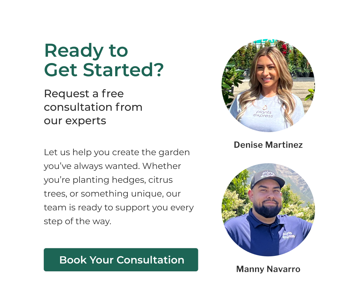 Ready to Get Started? Request a free consultation from our experts