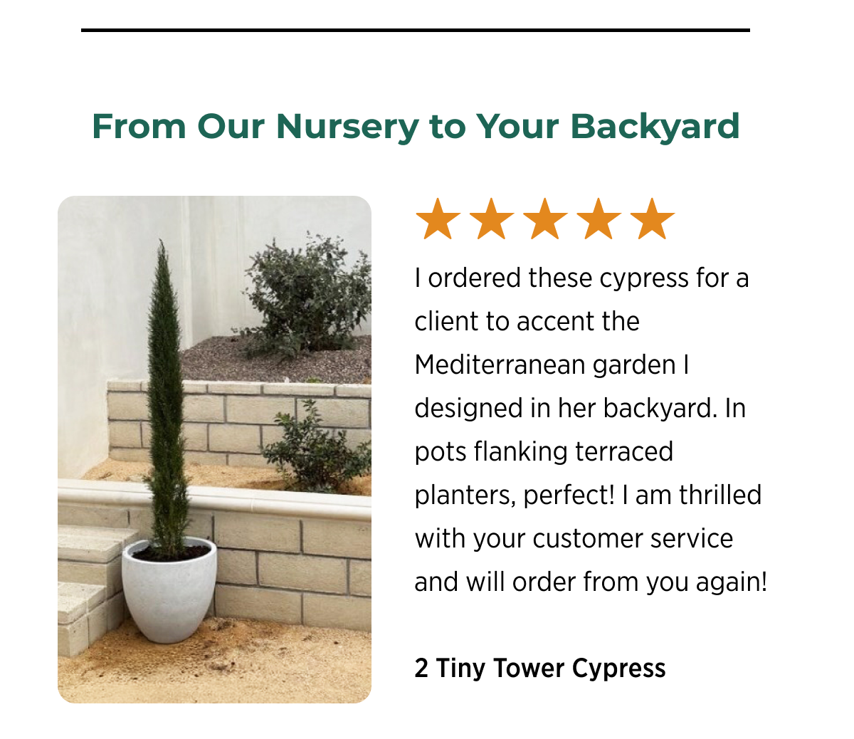 2 Tiny Tower Cypress