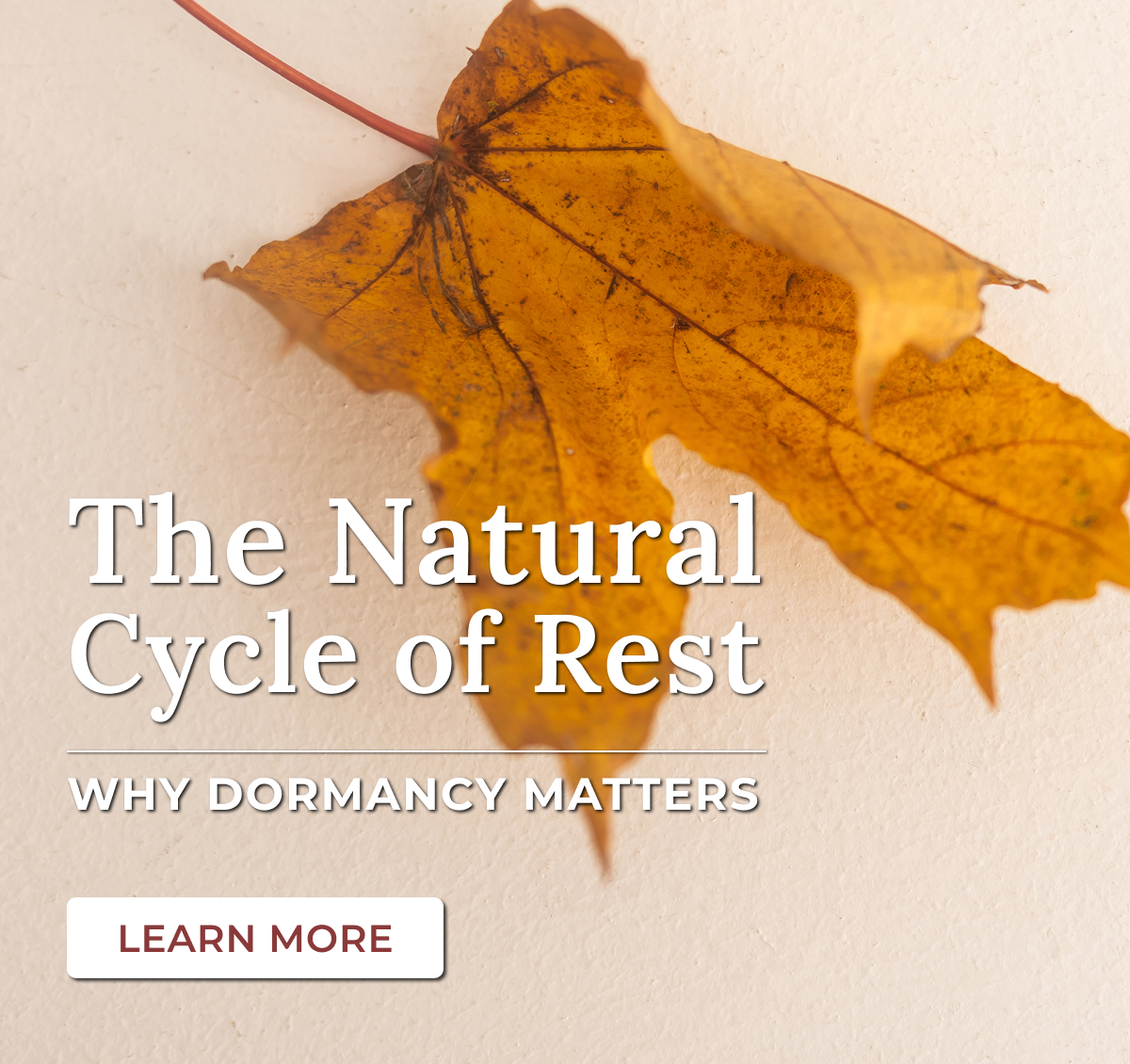 The Natural Cycle of Rest