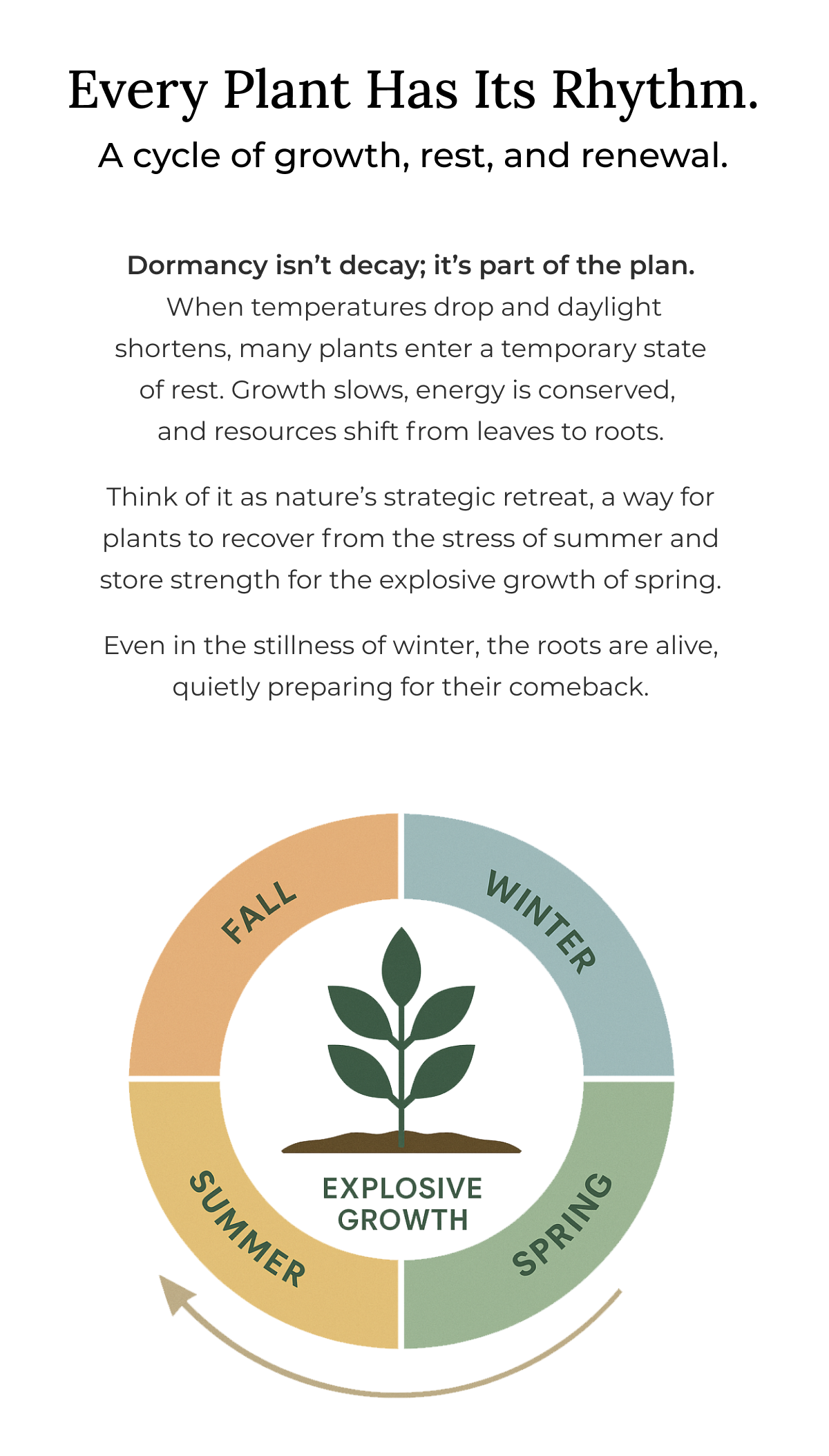 Every Plant Has Its Rhythm. A cycle of growth, rest, and renewal.