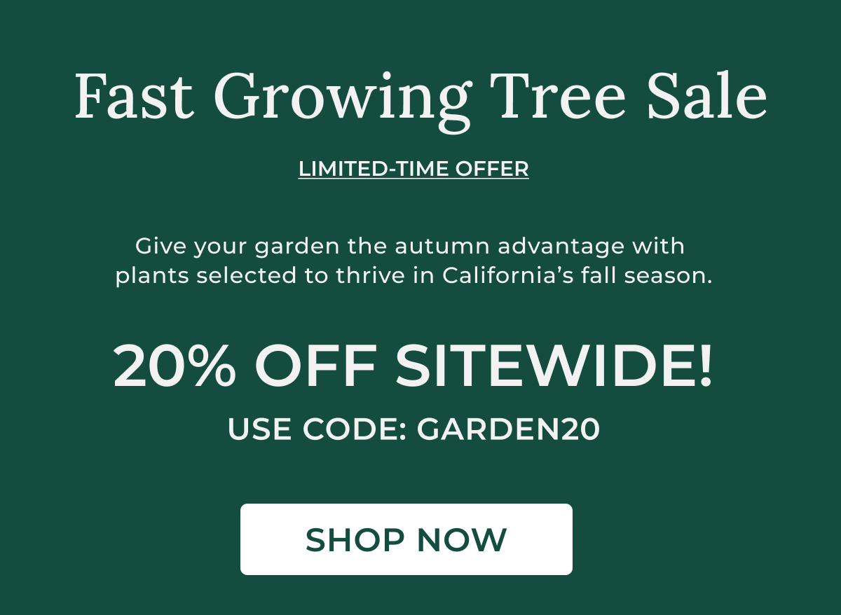 Fast Growing Tree Sale LIMITED-TIME OFFER